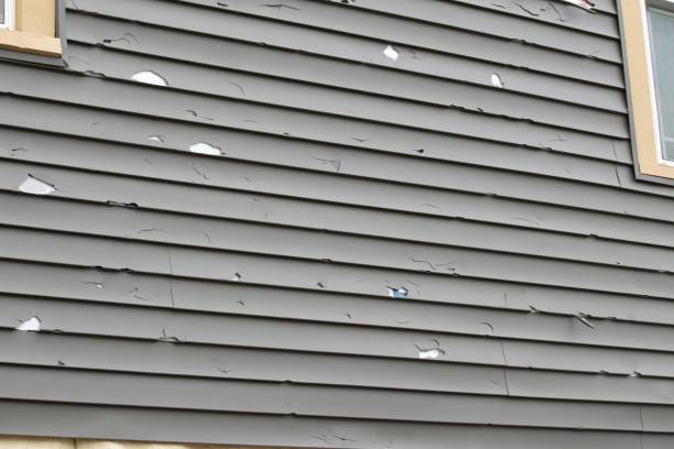 Best Insulated Siding Installation  in Marfa, TX